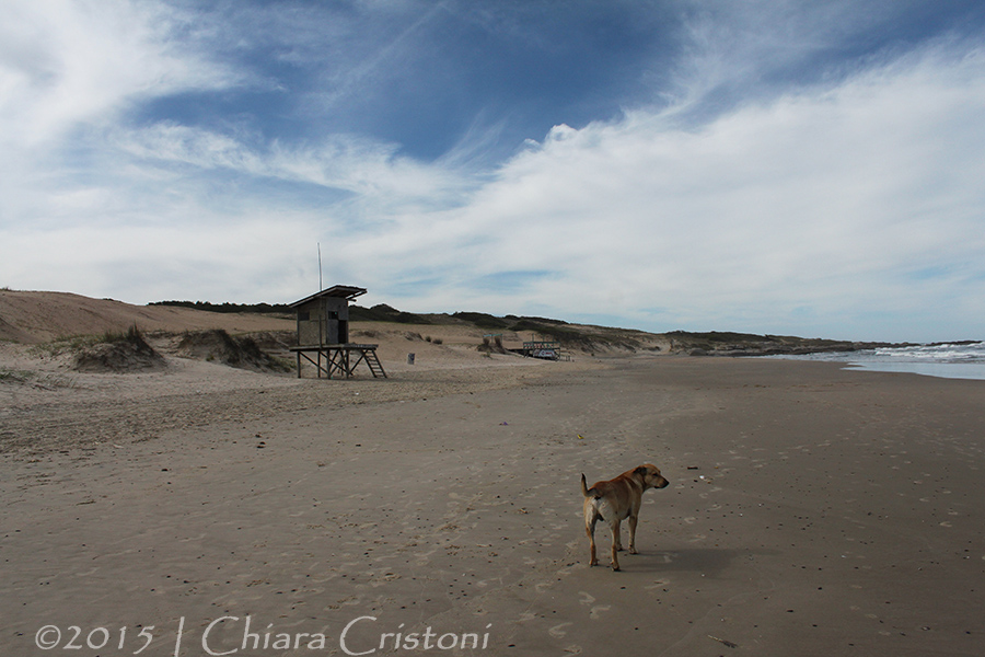 Uruguay "Punta del Diablo" "Playa del Rivero"