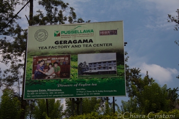 "Sri Lanka" Geragama Tea plantation