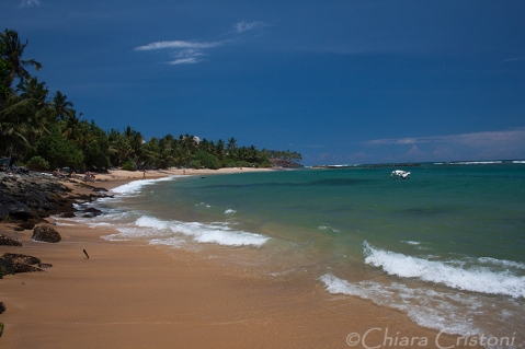 "Sri Lanka" Mirissa beach