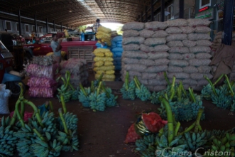 "Sri Lanka" Dambulla fresh produce market