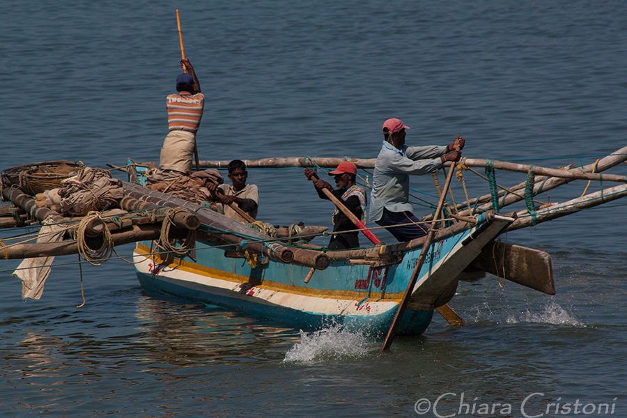 "Sri Lanka" Negombo lagoon boats