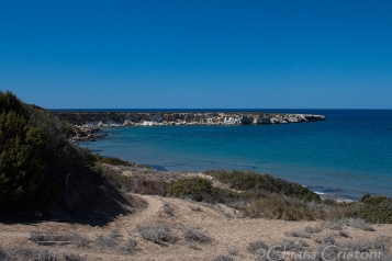 Cyprus Akamas "Lara Beach" coastline wilderness