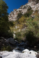 "Avakas Gorge" Cyprus Akamas gorge rocks